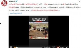 南昌奇葩爆料新闻视频播放,揭秘令人瞠目结舌的奇葩爆料视频