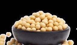 小黄豆爆料视频下载,精彩瞬间一网打尽