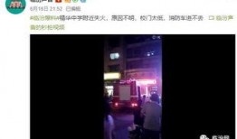 匿名爆料学校视频大全集,匿名爆料视频大全集精彩回顾