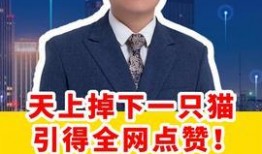 陈山头条新闻爆料电话,揭秘神秘新闻热线背后的故事