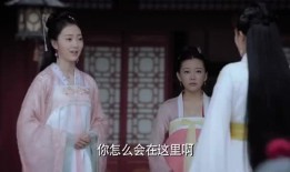 枫丹爆料视频大全最新消息