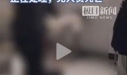 学校霸凌爆料案例视频,揭露霸凌事件的惊心动魄瞬间