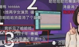 娱乐大爆料配音演员表大全,揭秘配音演员阵容，声临其境的幕后英雄