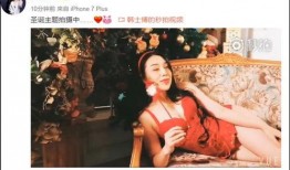 豆拍视频在线观看