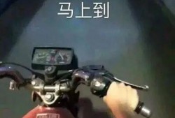 圈内爆料吃瓜的视频,独家爆料，吃瓜视频带你一探究竟