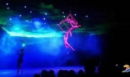 余家杂技被爆料视频,惊险绝伦的背后真相曝光