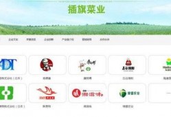 插旗菜业爆料新闻最新消息,揭秘行业黑幕，真相令人震惊！