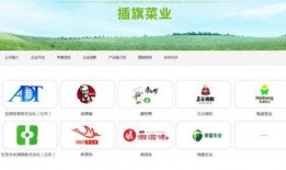 插旗菜业爆料新闻最新消息,揭秘行业黑幕，真相令人震惊！