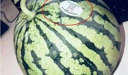 宁乡网红吃瓜,揭秘幕后故事与热门话题