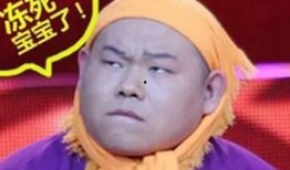 哈尔滨爆料岳云鹏视频,引发网友热议