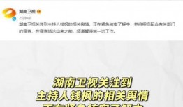 娱乐圈吃瓜暗语大全