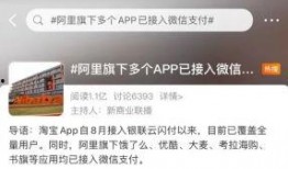 阿里旗下最新爆料,揭秘旗下神秘项目，引领行业新风向