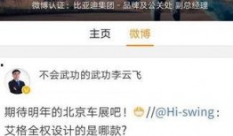 比亚迪高管爆料新闻,揭秘新能源汽车产业内幕与未来趋势