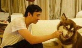 娱乐圈狗子爆料是真的吗,真相还是谣言？