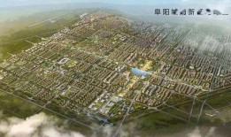 猫之城最新up爆料,揭秘神秘猫界秘境