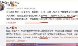 爆料打假人视频下载软件,揭秘其真实面目与使用技巧
