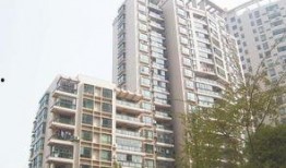 龙兴嘉苑爆料事件视频曝光,事件始末及各方反应盘点