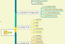 夏季瓶子爆料视频大全集,揭秘热点事件背后的真相