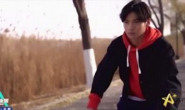 赵宥维视频爆料大全集免费观看,独家揭秘，免费观看