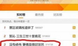 卓伟爆料刘芸视频播放,真相背后引热议