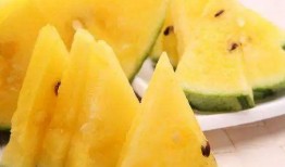 黑网料吃瓜网免费下载,免费下载背后的真相