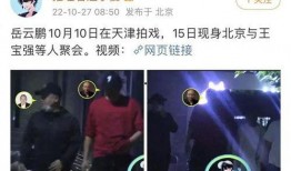 哈尔滨爆料岳云鹏视频,引发网友热议