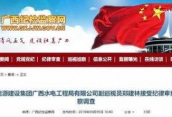 广西水电最新爆料消息查询,揭秘水电项目进展与挑战