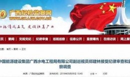 广西水电最新爆料消息查询,揭秘水电项目进展与挑战