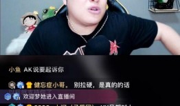 小刘黑龙爆料视频,娱乐圈幕后真相大曝光