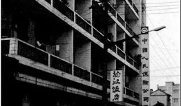眉山头条最新爆料,揭秘某神秘事件背后真相！