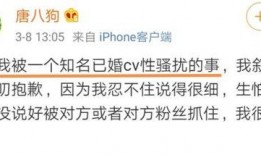 龙吟最新爆料消息在哪看,揭秘神秘事件，独家视角带你一探究竟