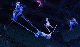 余家杂技被爆料视频,惊险绝伦的背后真相曝光