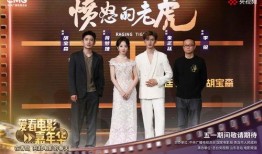 嘉年华电影在线观看,揭秘电影背后的激情与梦想