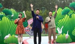 北京徒弟爆料新闻最新视频,揭秘视频背后的惊人真相