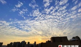 晚霞爆料结局视频大全,结局视频大全揭秘，剧情高潮迭起，悬念揭晓！