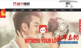 橘子最新爆料网站,揭秘娱乐圈最新动态，独家爆料等你来探