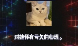 娱乐圈八卦吃瓜爆料内涵,揭秘明星背后的秘密与真相