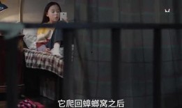 三个男孩爆料视频,三位男孩亲述校园霸凌事件内幕”