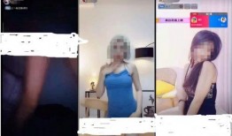 色情视频高清在线观看,在线观看的诱惑与风险