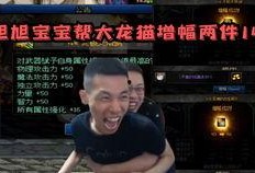 大龙猫爆料宝哥视频全集,精彩瞬间与幕后故事大公开