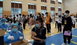 枫丹爆料视频大全最新消息