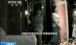 色情视频高清在线观看,在线观看的诱惑与风险