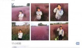 淄博网红爆料最新消息,揭秘城市新热点与幕后故事