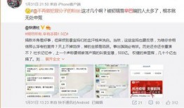 爆料打假人视频下载软件,揭秘其真实面目与使用技巧