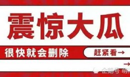 娱乐圈吃瓜暗语大全