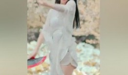 小黄豆爆料视频下载,精彩瞬间一网打尽