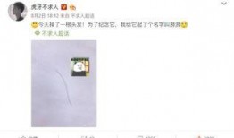 不求人微博最新爆料