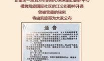 眉山头条最新爆料,揭秘某神秘事件背后真相！