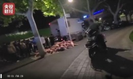沧州爆料青县事件视频播放,沧州爆料真相揭晓