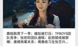 天涯爆料事件视频播放,揭秘事件背后真相